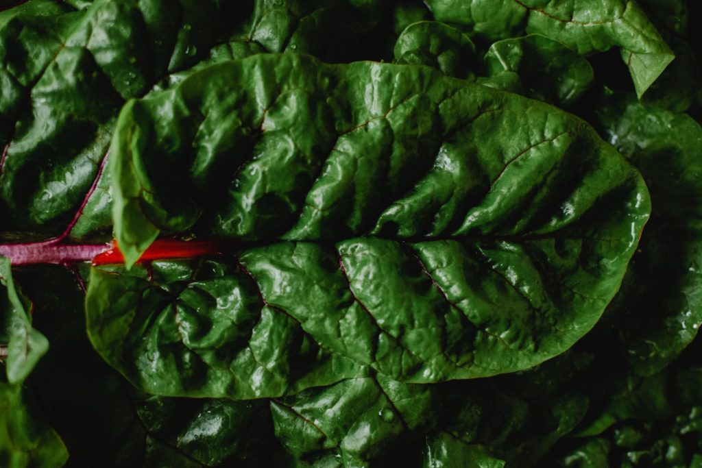 swiss-chard-1024x683