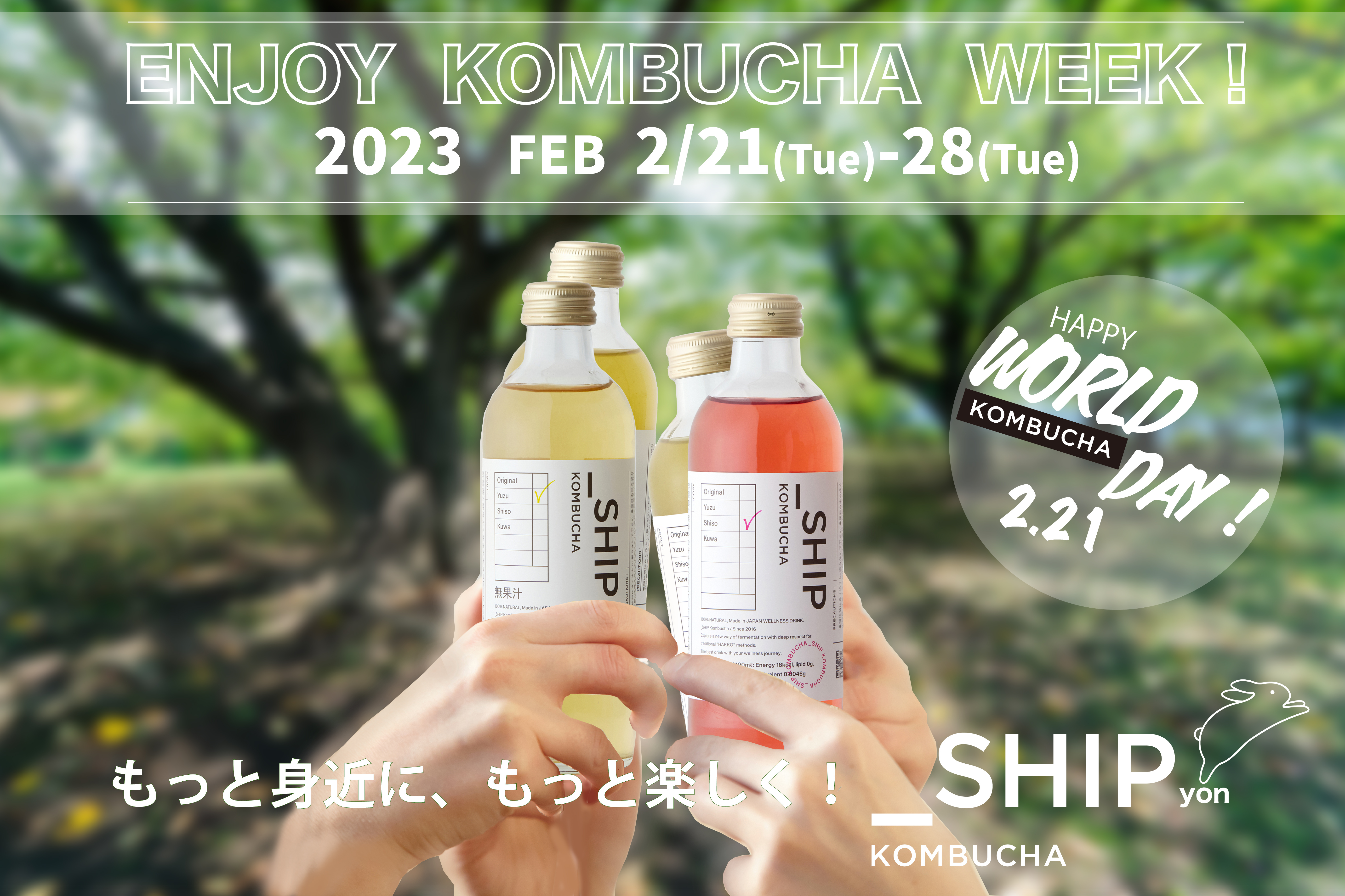 enjoy_kombucha_week (2)