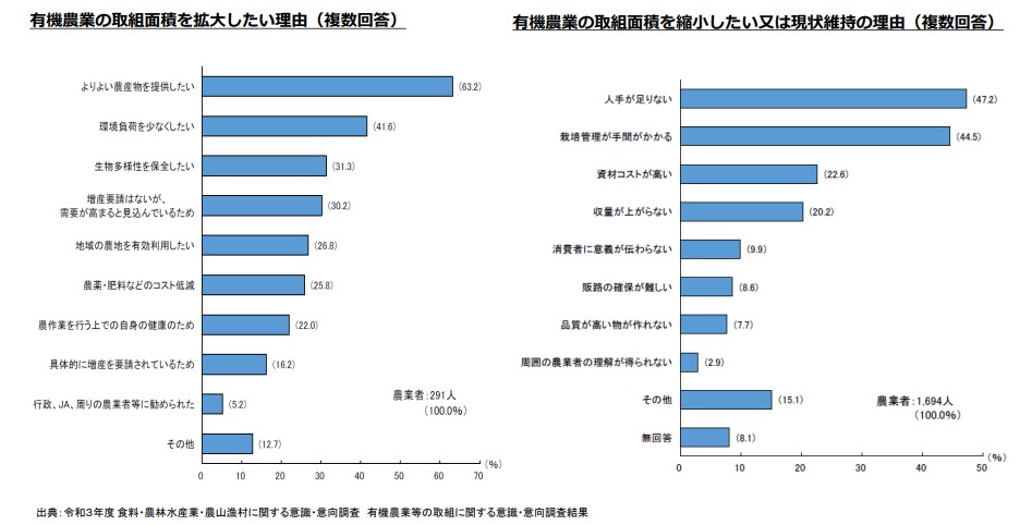 pic05 (4)